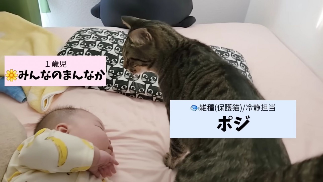 赤ちゃんとポジくん