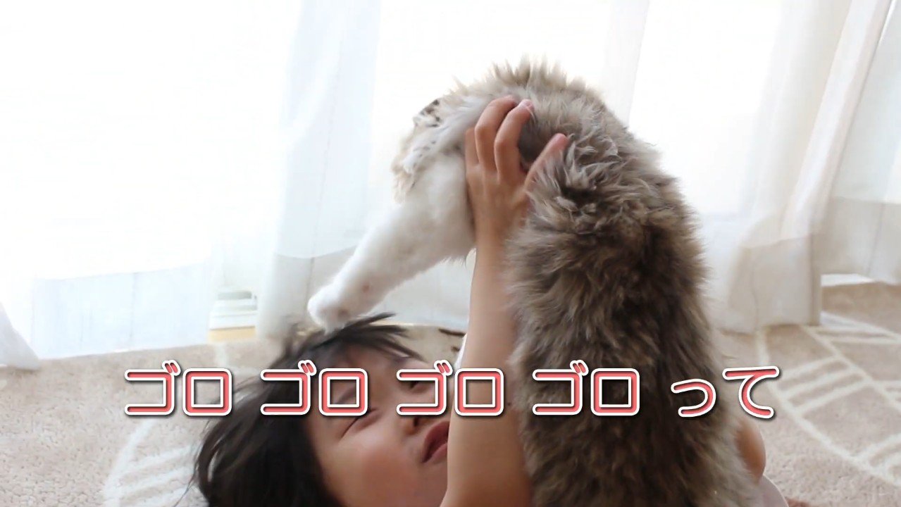 ゴロゴロゴロゴロって