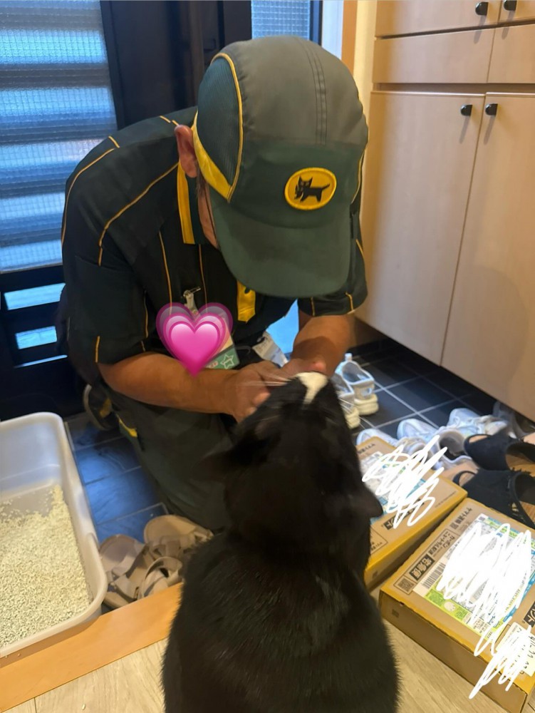 黒猫とドライバー