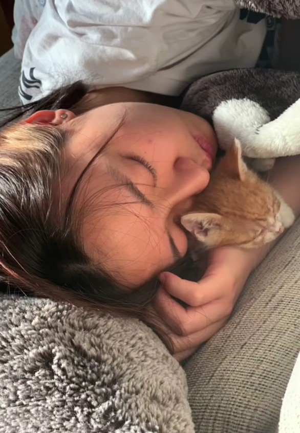 飼い主と寝る猫