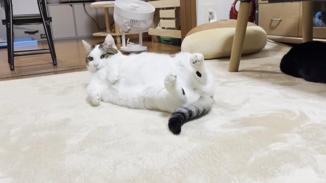 起き上がりかけて