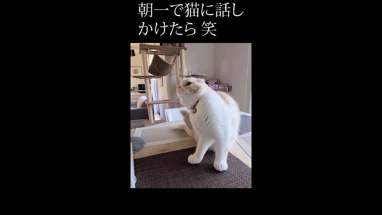 右をカキカキ