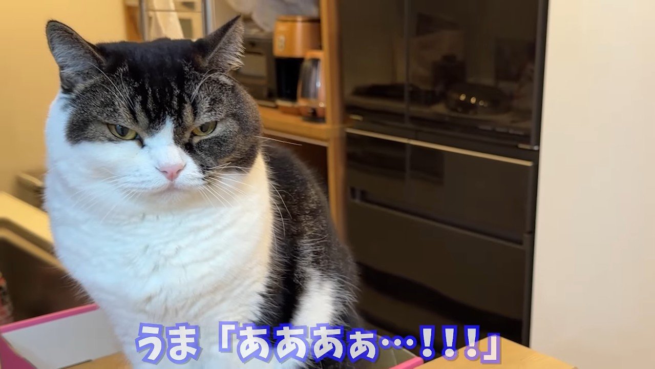 あああぁ…！！！