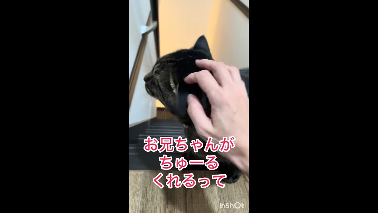 お兄ちゃんが