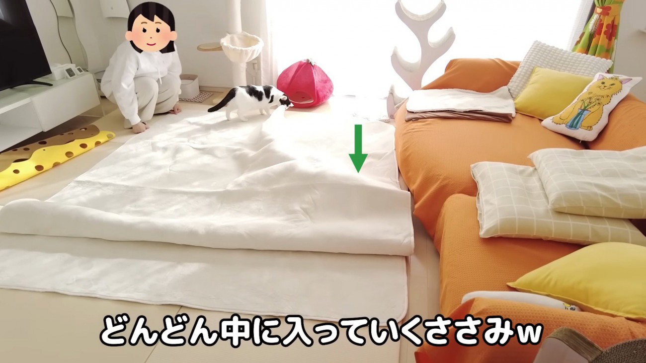 カーペットに潜るささみくん