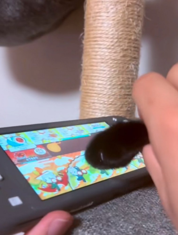 ゲームする猫の手
