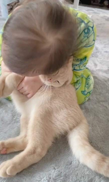 猫を抱きしめる女の子