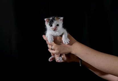 手足を伸ばすいちえちゃん