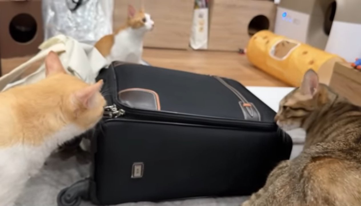 匂いを嗅ぐ男子たち