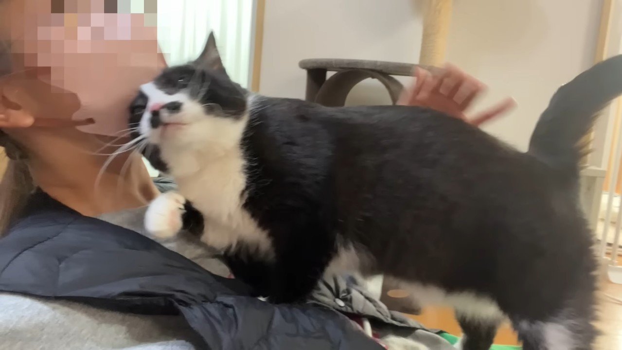 引っ張られる顔