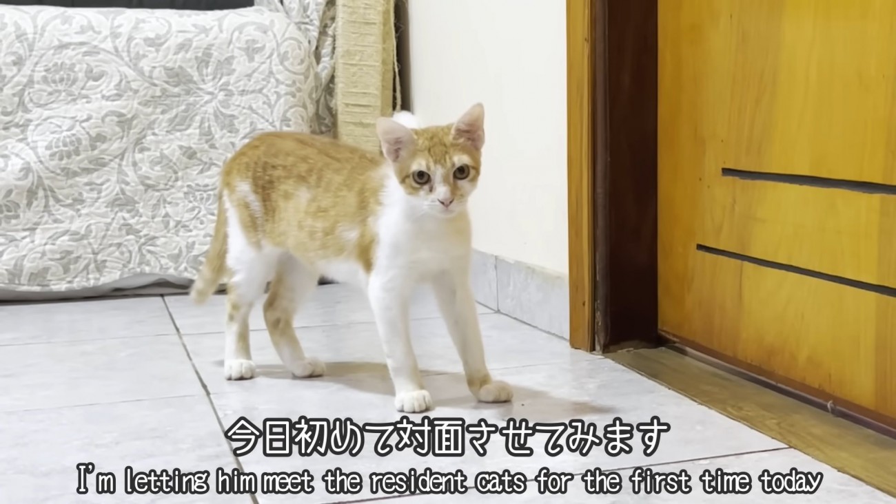 テロップ「今日初めて～」