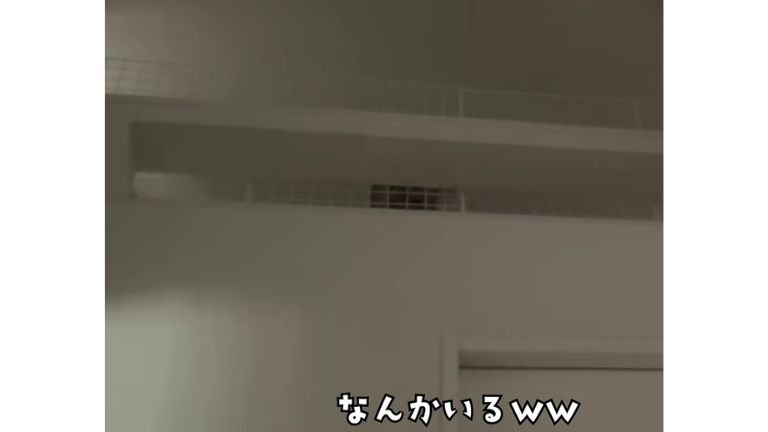 ロフトの様子