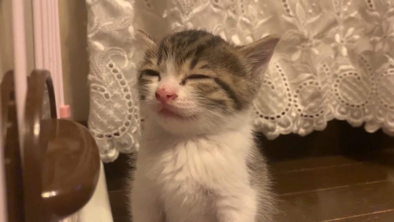 目を閉じた顔のアップ