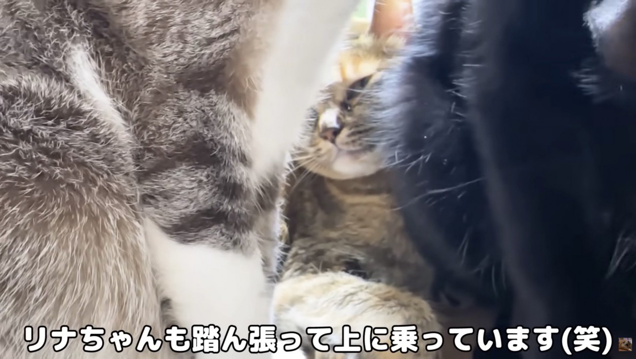 奥にリナちゃん