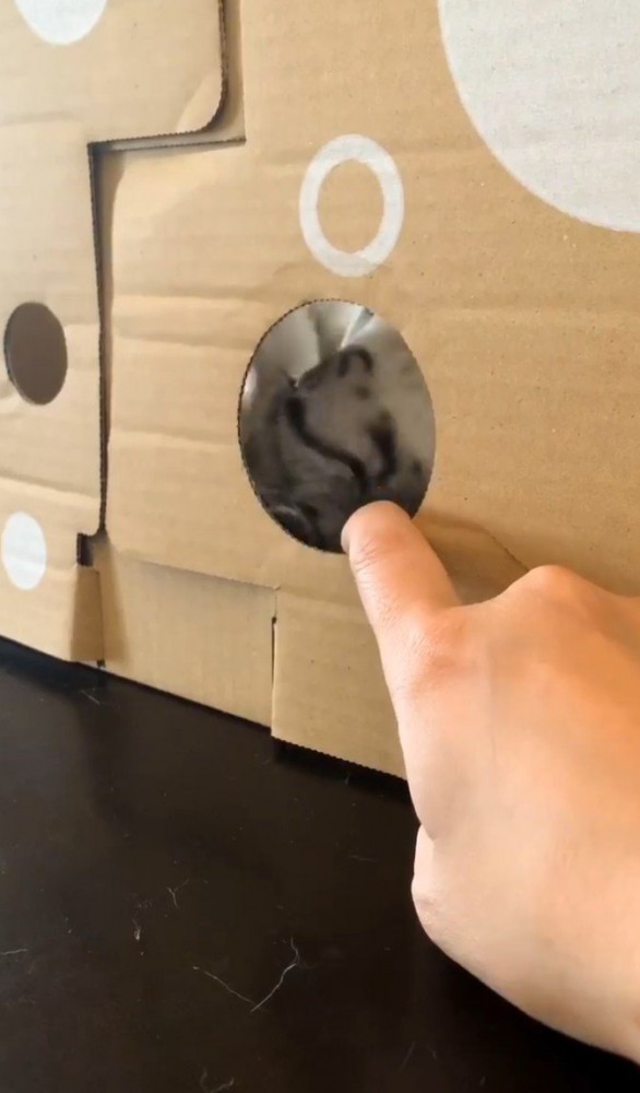 段ボールの向こうで転がる猫