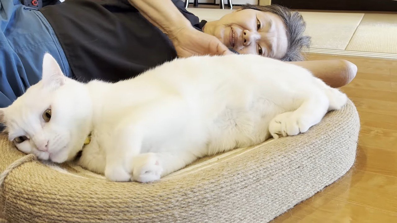 ベッドでゴロン