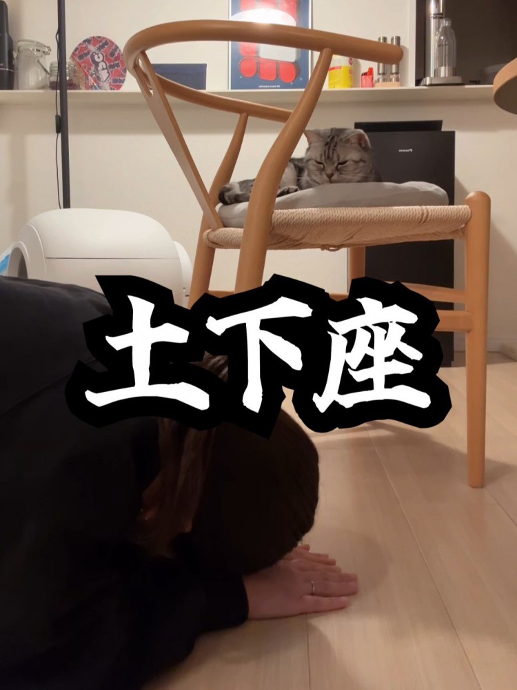 猫に土下座する人