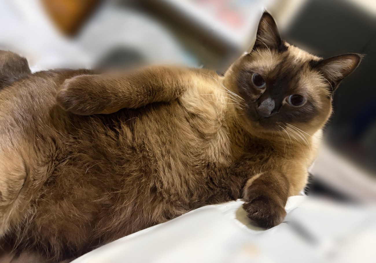 包容力のあるこじろーくん