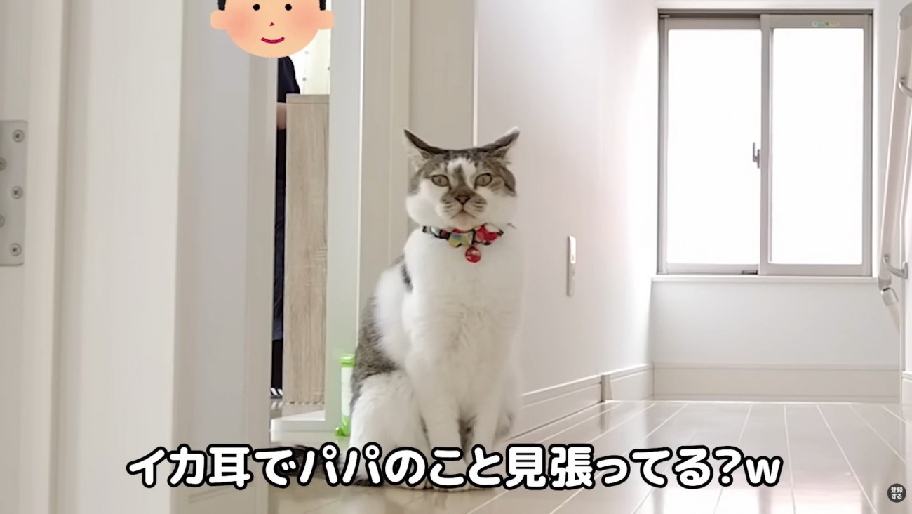 イカ耳ささみくん