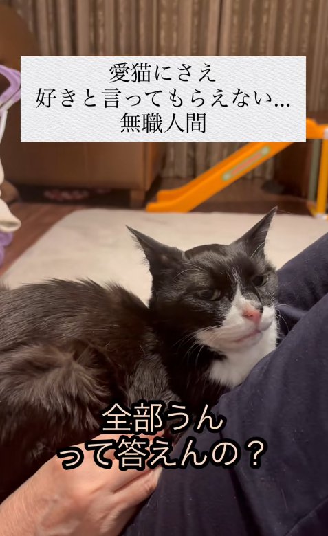 人の上に乗っている猫と「全部うんって～」の字幕