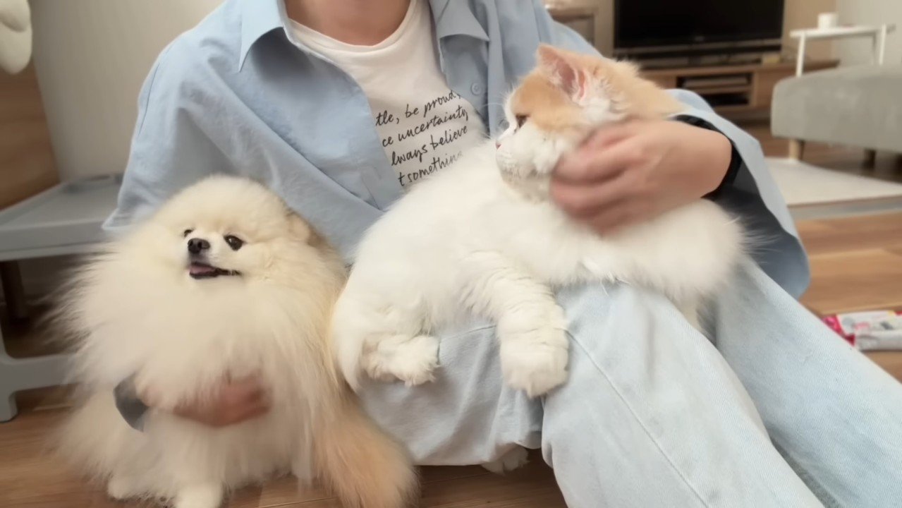 ポテチくんを見るレモンくん