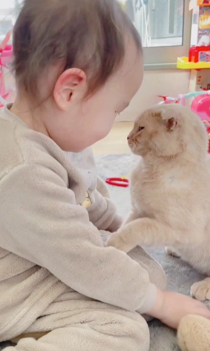 向き合う女の子と猫