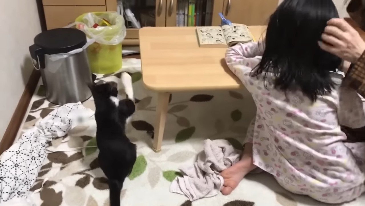 ひまわりちゃんと娘さん