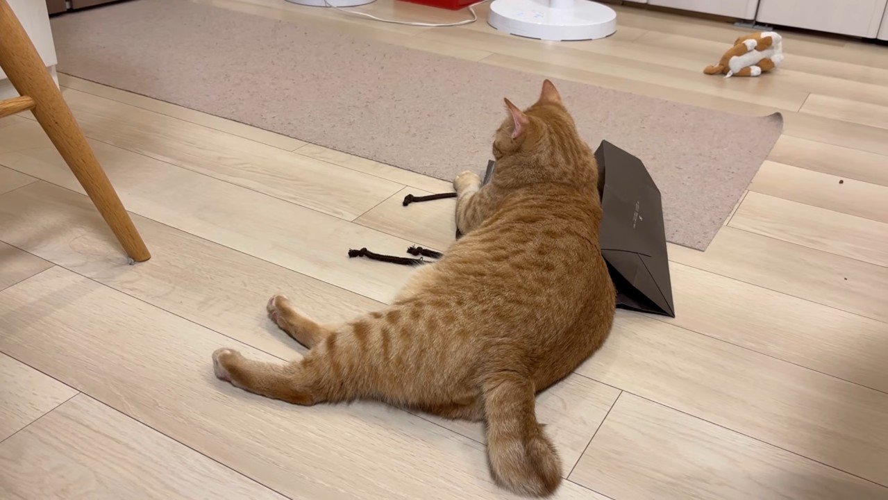 乗っかって
