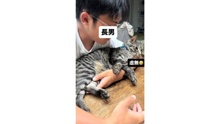 男性と猫