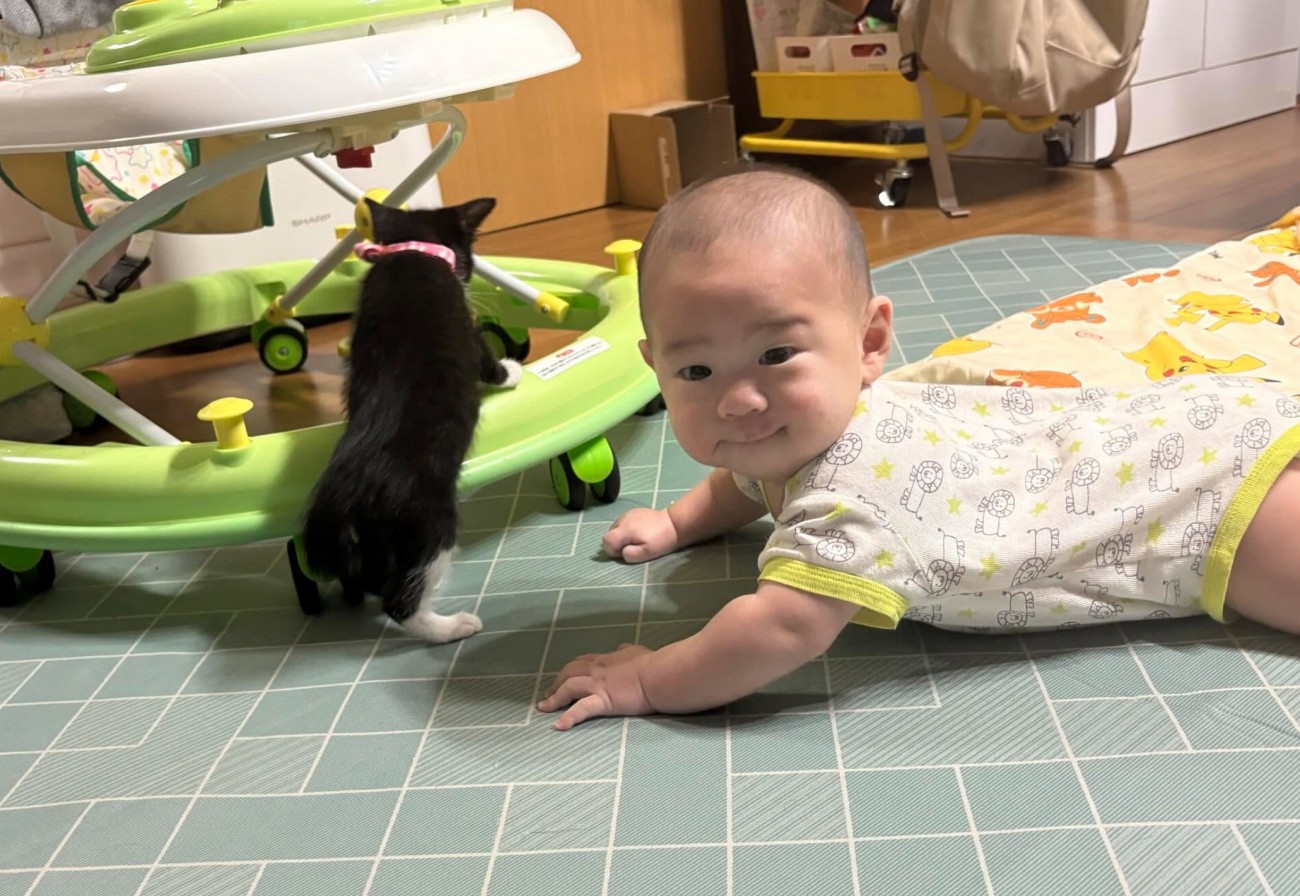 深夜に遊ぶふたり