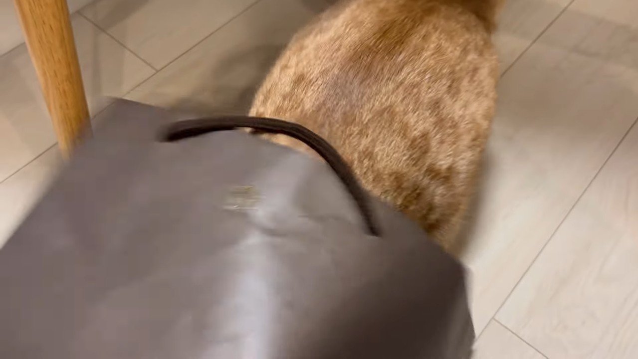 潜った姿