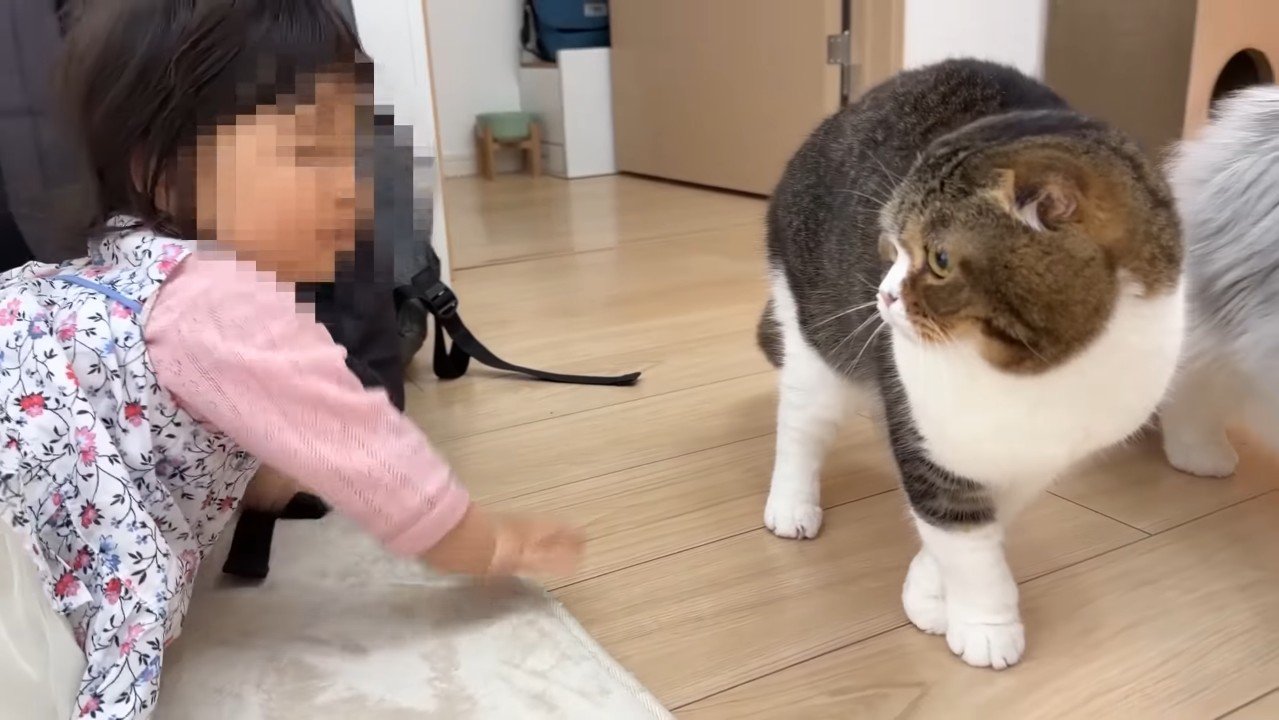 赤ちゃんとぽこ太郎くん