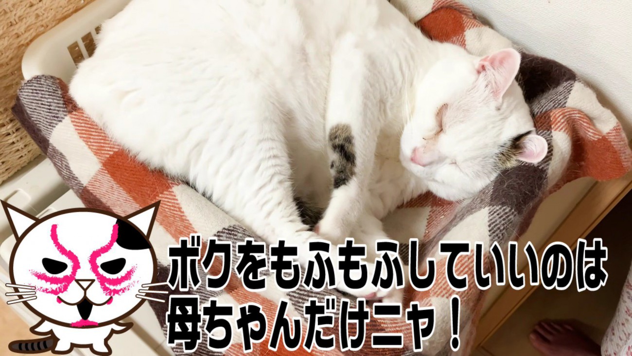 父ちゃんを拒否して眠り始めたおーちゃんさん