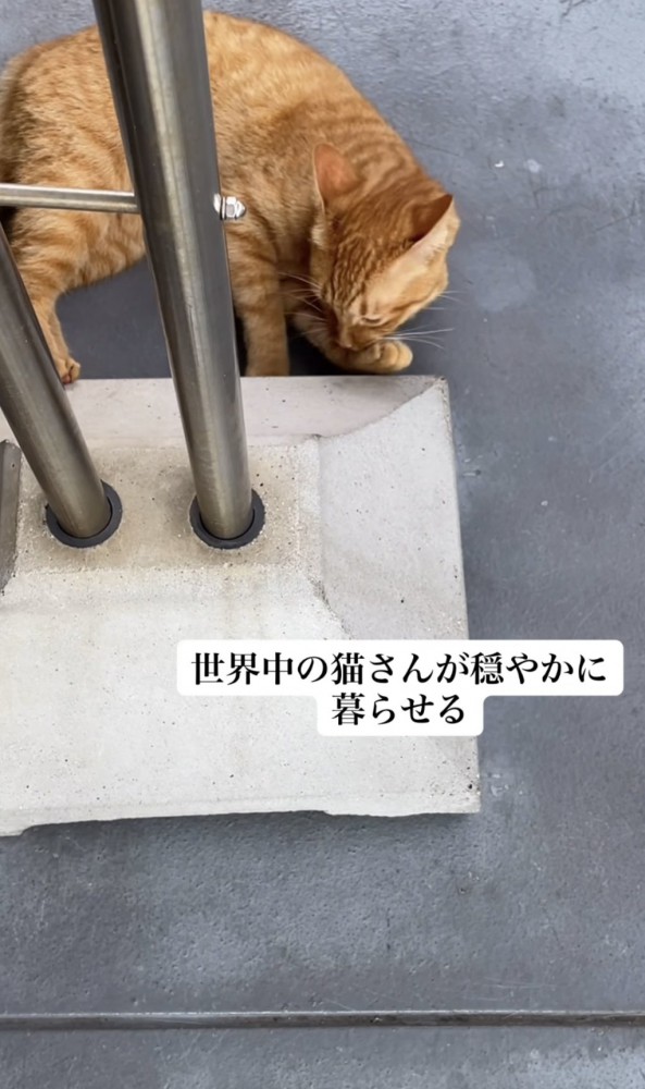 「世界中の...」のテロップ写真