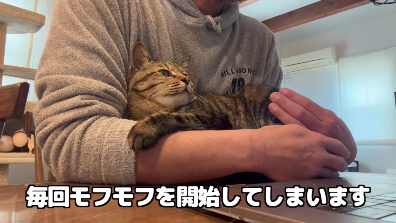 百太さんがかわいくてモフモフが我慢できない飼い主さん