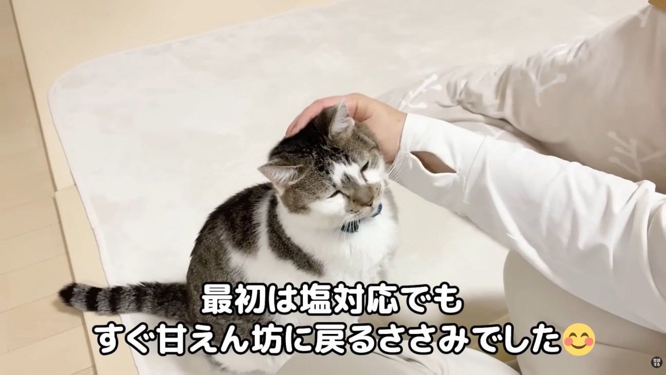 テロップ「最初は塩対応でも～」