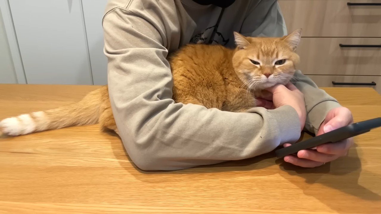 パパさんの腕の中に入ったプリンくん