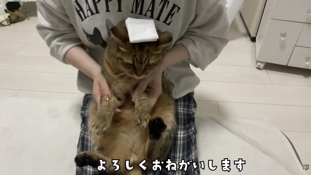 よろしくおねがいします