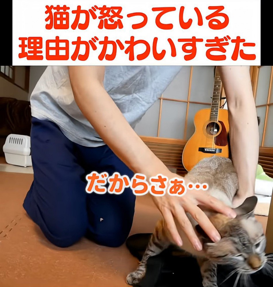 逃げようとする猫