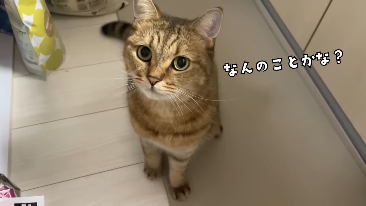 なんのことかな？