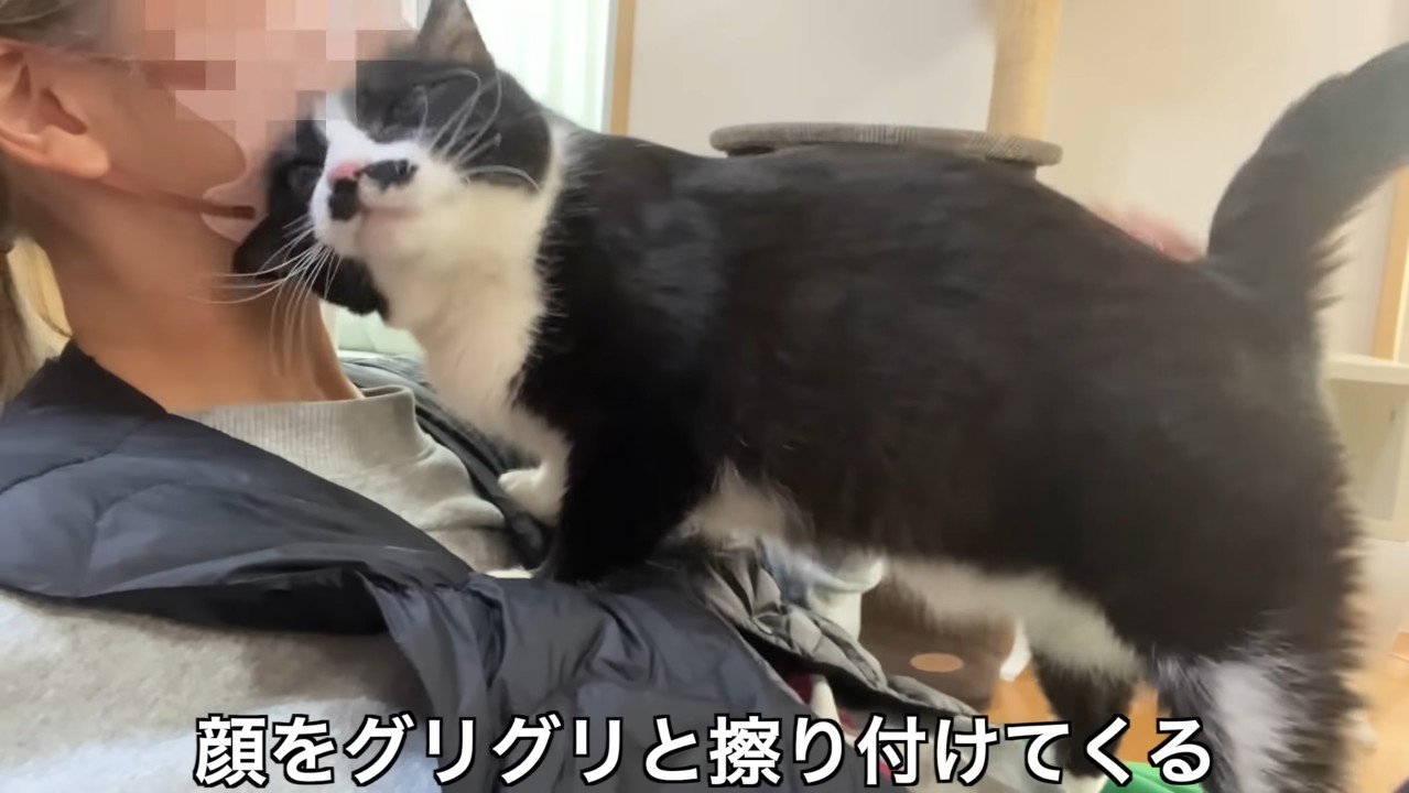 顔をグリグリと