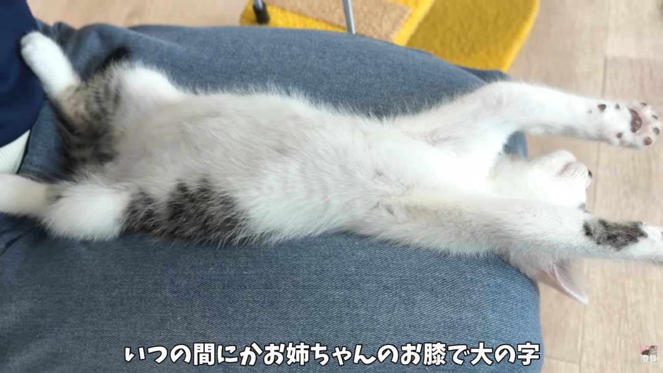 テロップ「いつの間にか～」