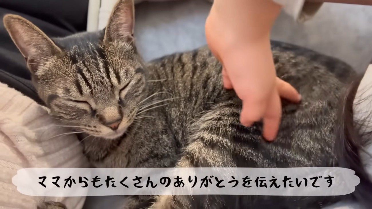 テロップ「ママからもたくさんの～」