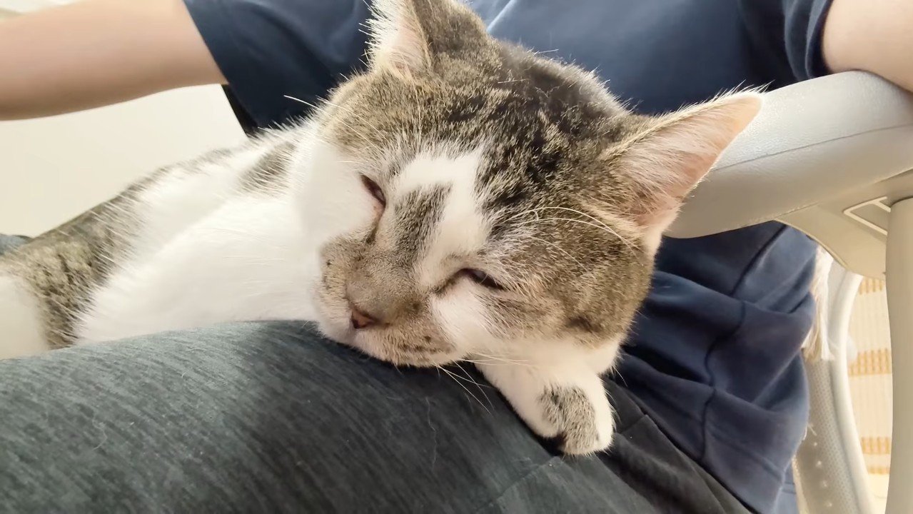 ねんね