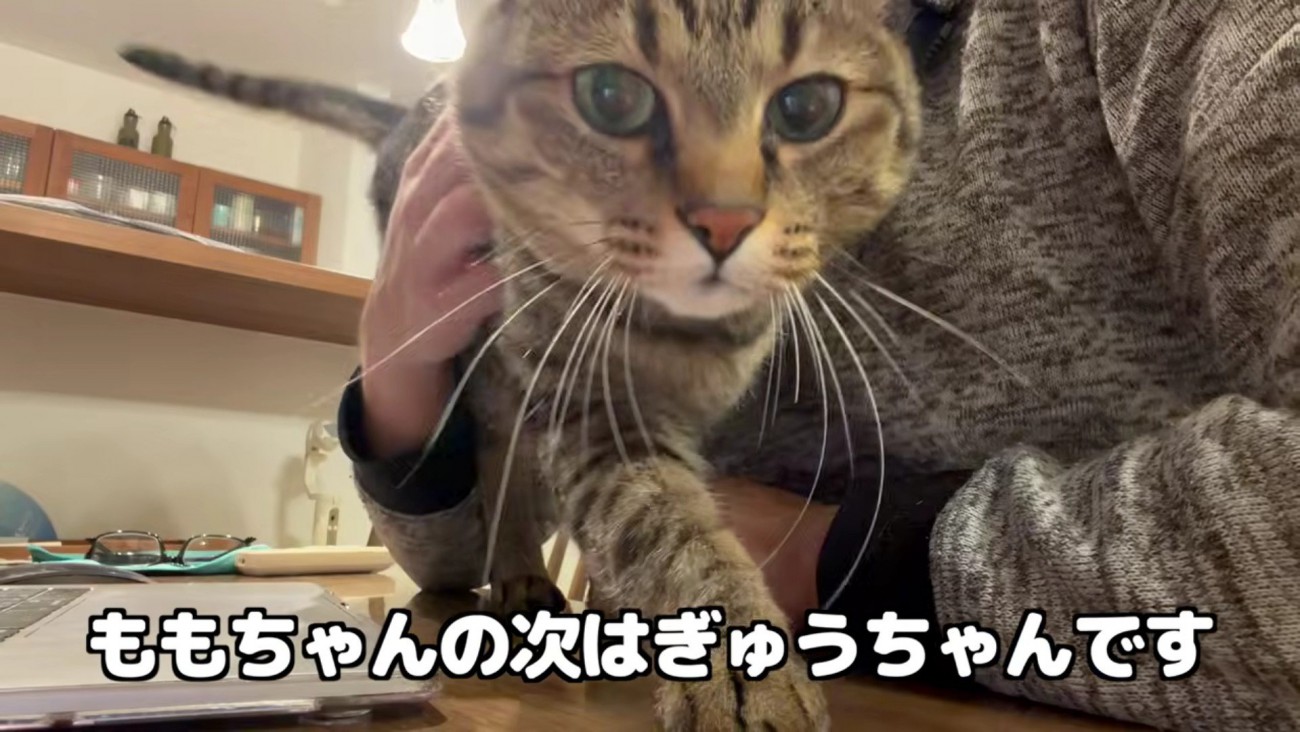 続いてやってきた牛太郎さんが