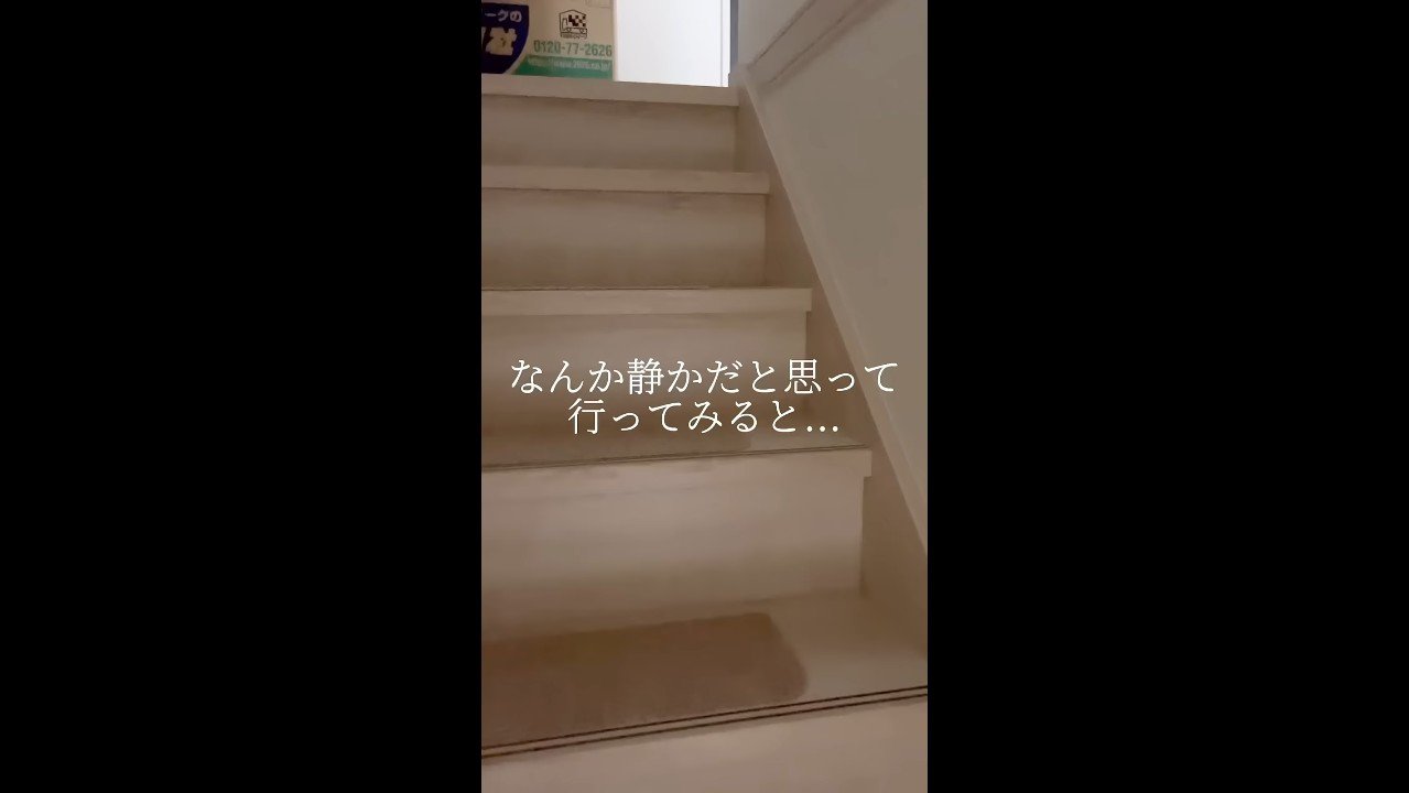 何か静かだと思って