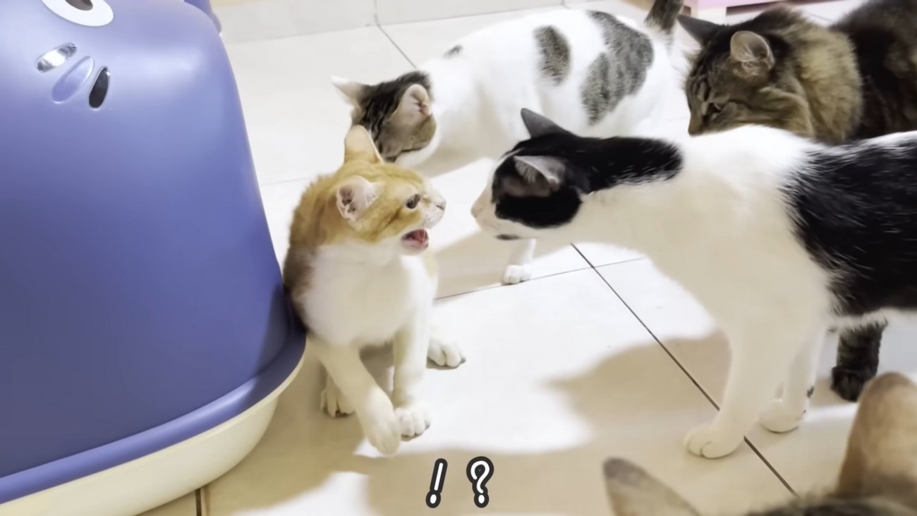 テロップ「！？」