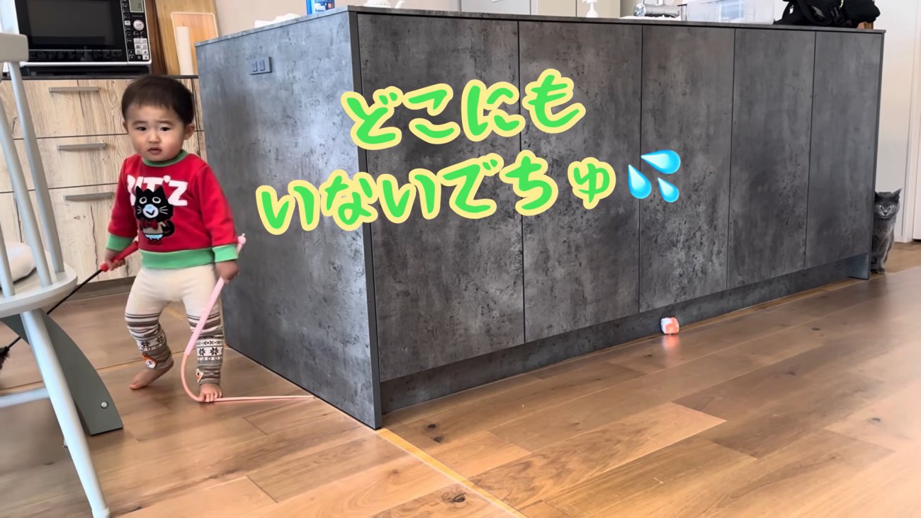 テロップ「どこにも～」