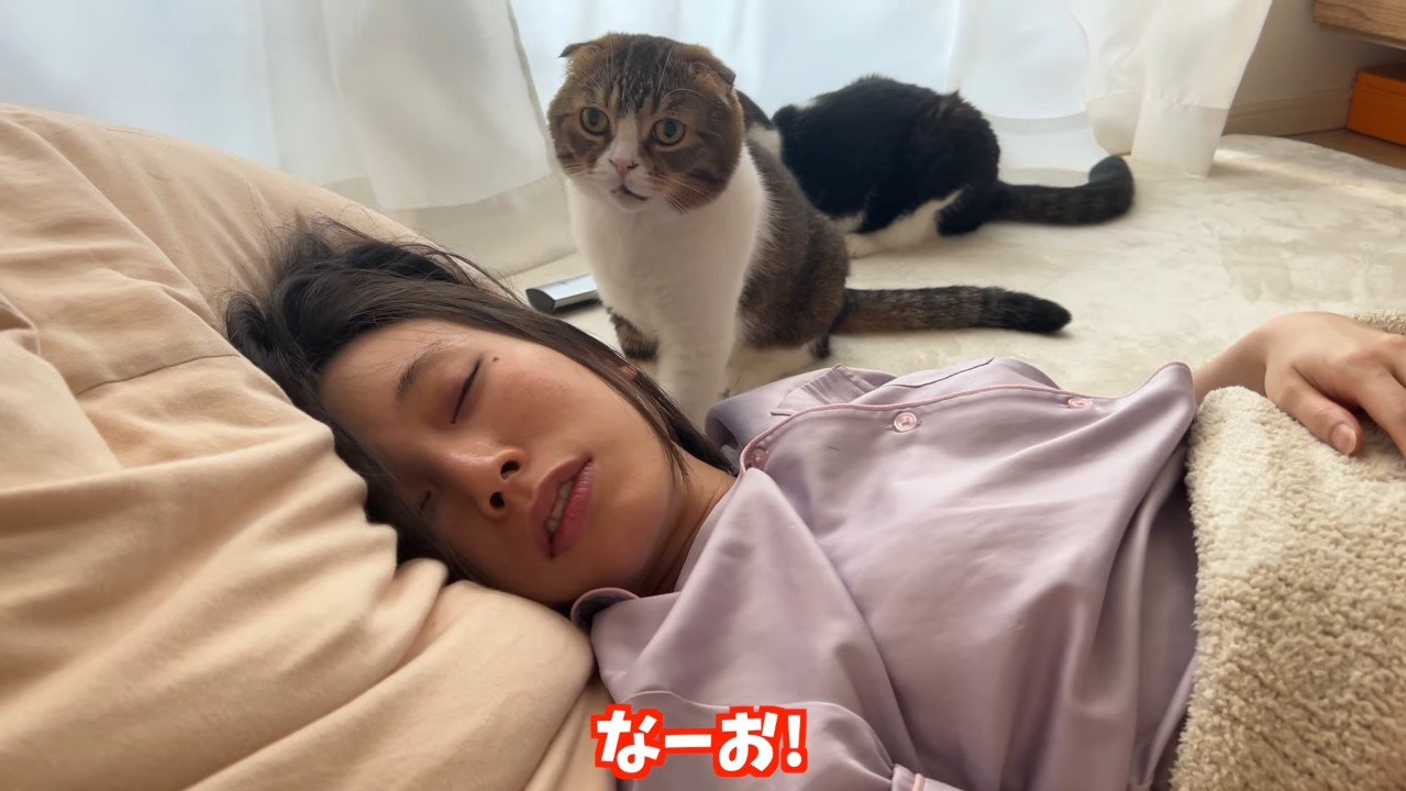 なーお！