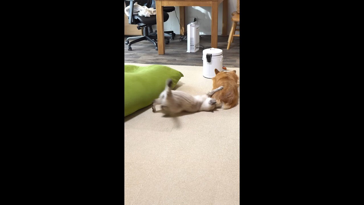お尻にタッチ